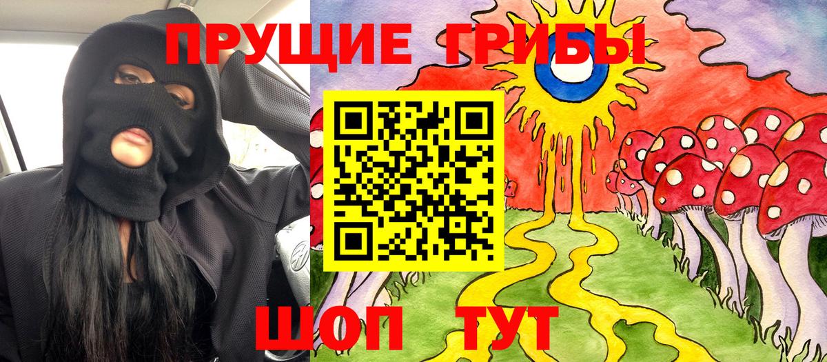 Махачкала  Псилоцибиновые грибы мухоморы  Вход с VPN  Псилоцибиновые грибы Psilocybe 