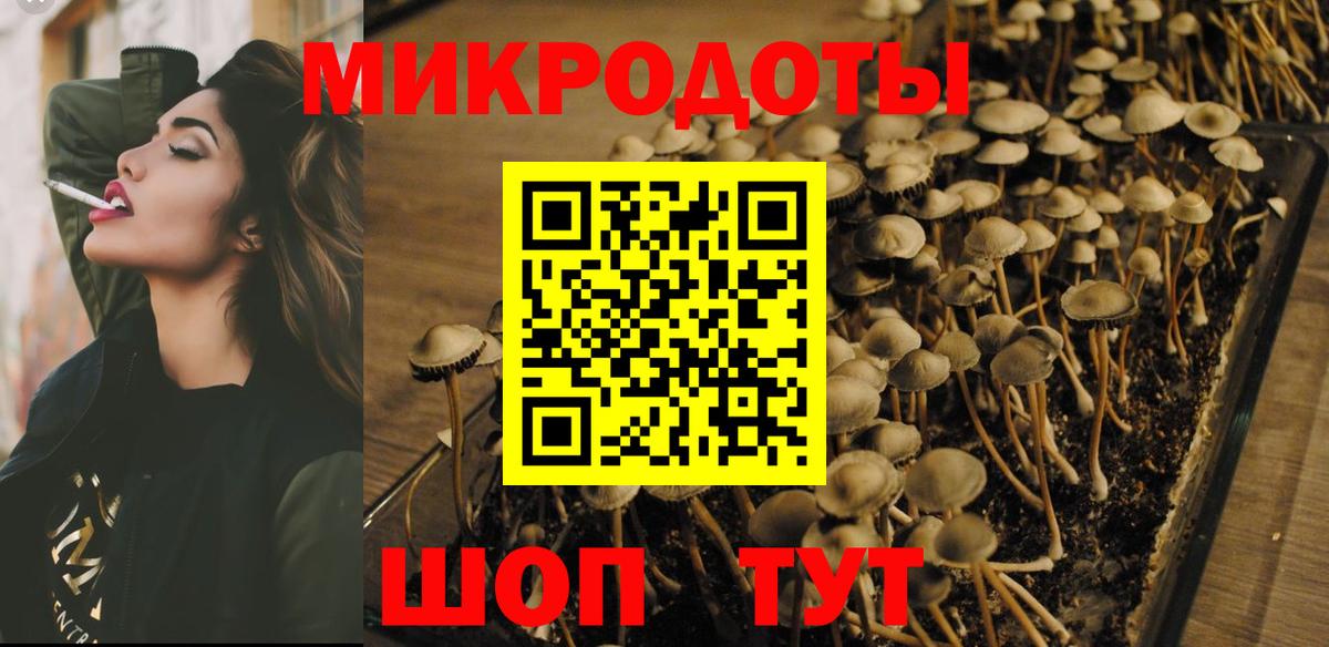 Псилоцибиновые грибы мухоморы Махачкала
