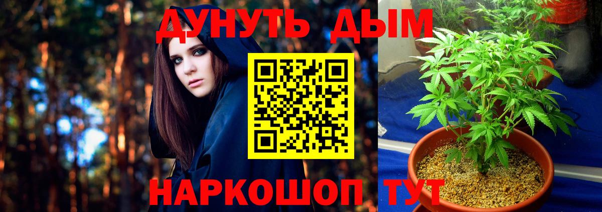 Махачкала  Канабис Ganja  Вход с VPN  Канабис OG Kush  Конопля Bruce Banner 